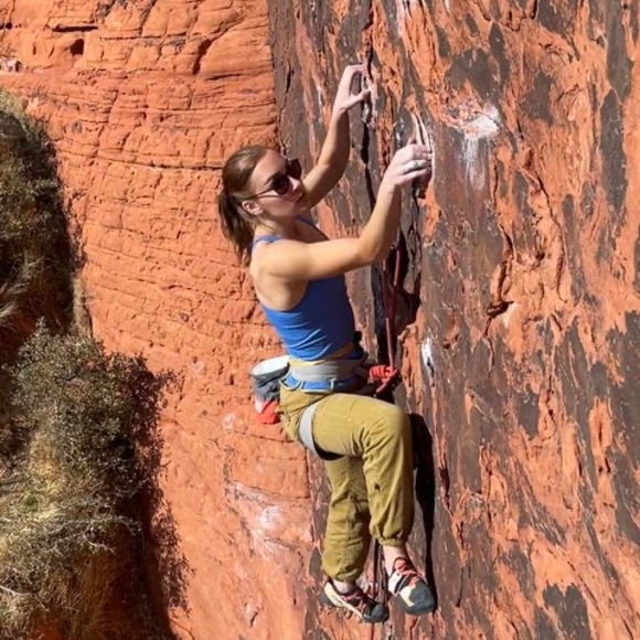 Meet your Posher, Bri - Picture 1 of 1